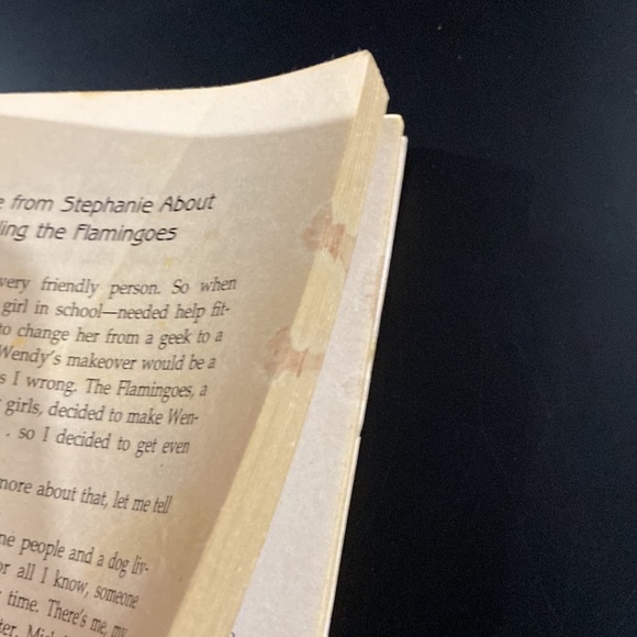 Full House Stephanie #9: Getting Even with the Flamingos - Paperback Novel - Picture 7 of 8